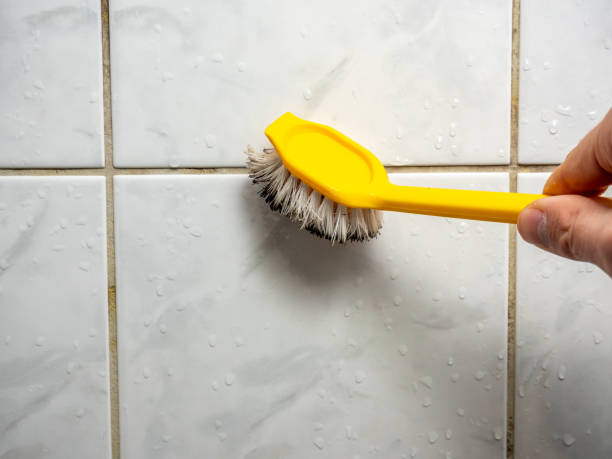 Best Black Mold Removal  in Sneedville, TN