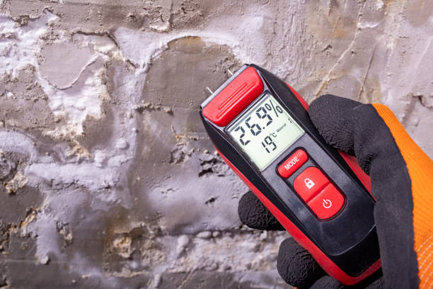 Mold Removal and Inspection in Sneedville, TN